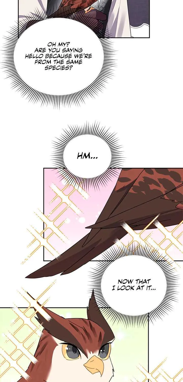 Read Cavier Falcon Princess chapter 23 image 16 on Lezhin