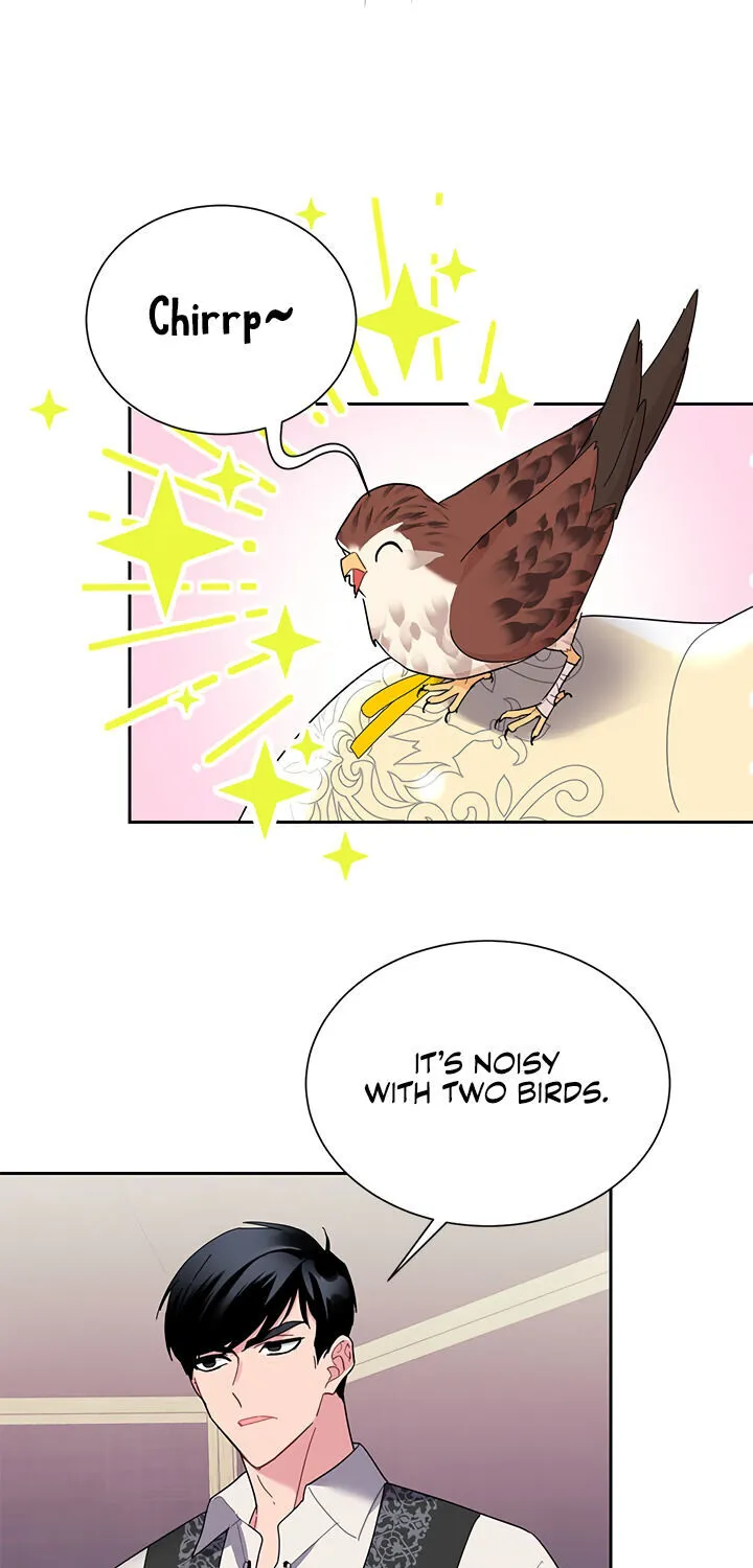 Read Cavier Falcon Princess chapter 23 image 20 on Lezhin