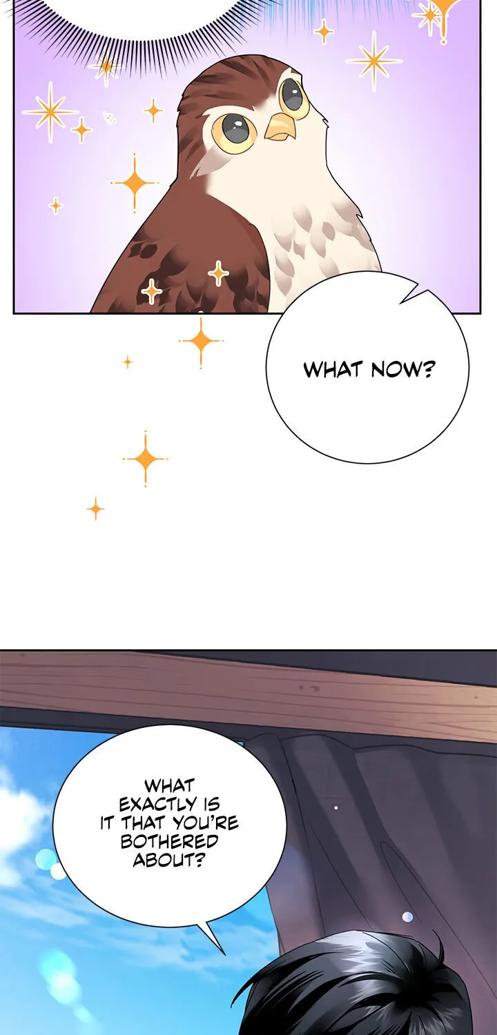 Read Cavier Falcon Princess chapter 23 image 23 on Lezhin