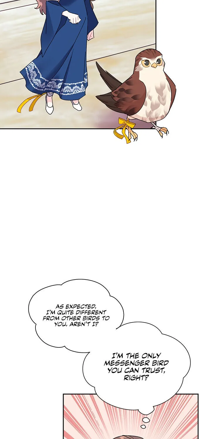 Read Cavier Falcon Princess chapter 23 image 25 on Lezhin