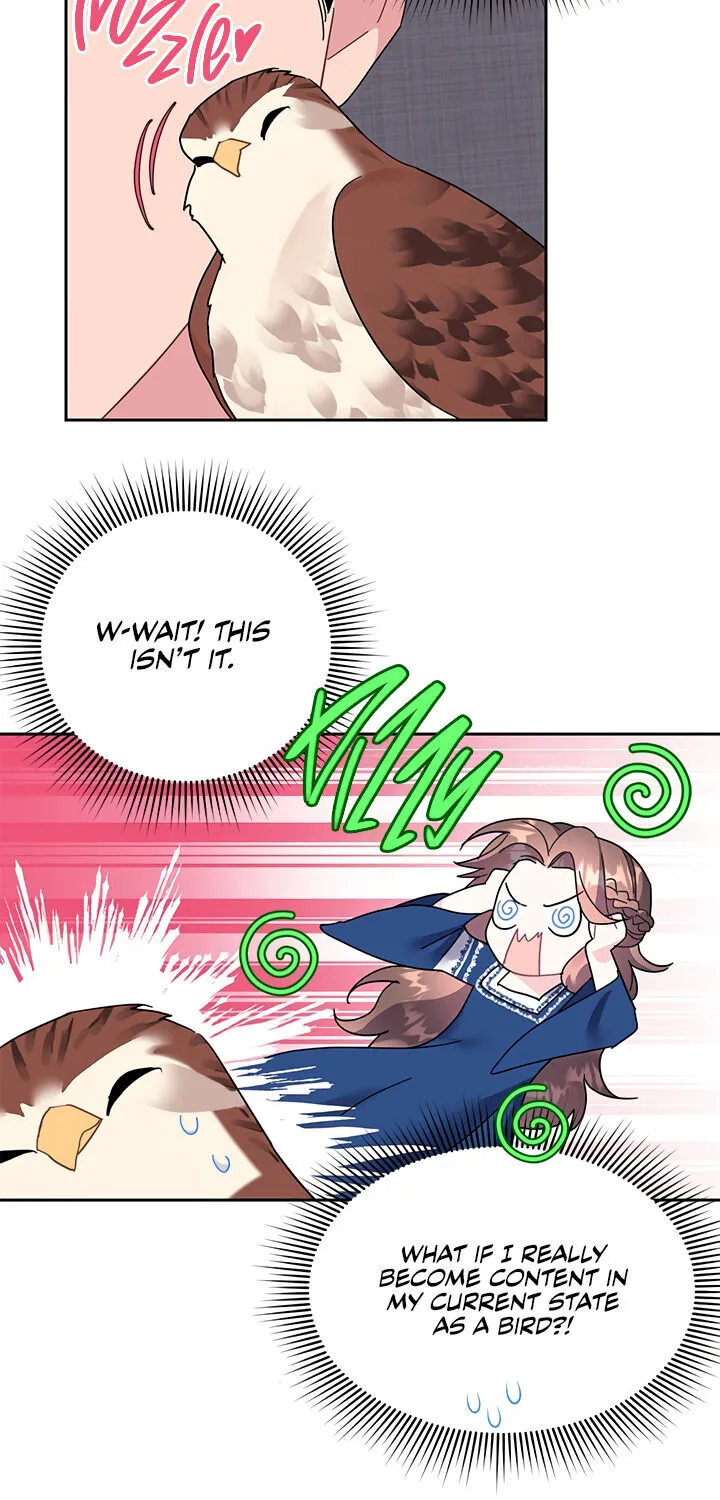 Read Cavier Falcon Princess chapter 23 image 29 on Lezhin