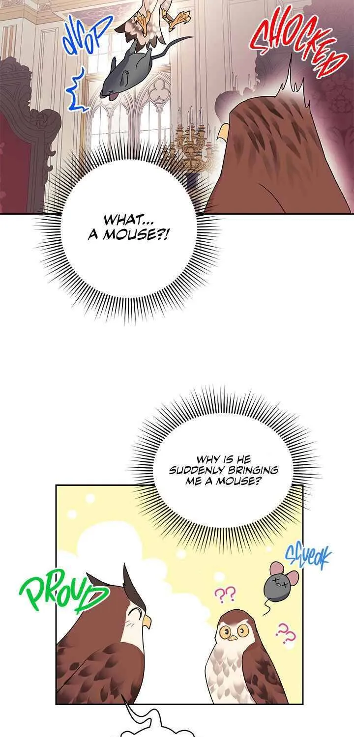 Read Cavier Falcon Princess chapter 24 image 48 on Lezhin