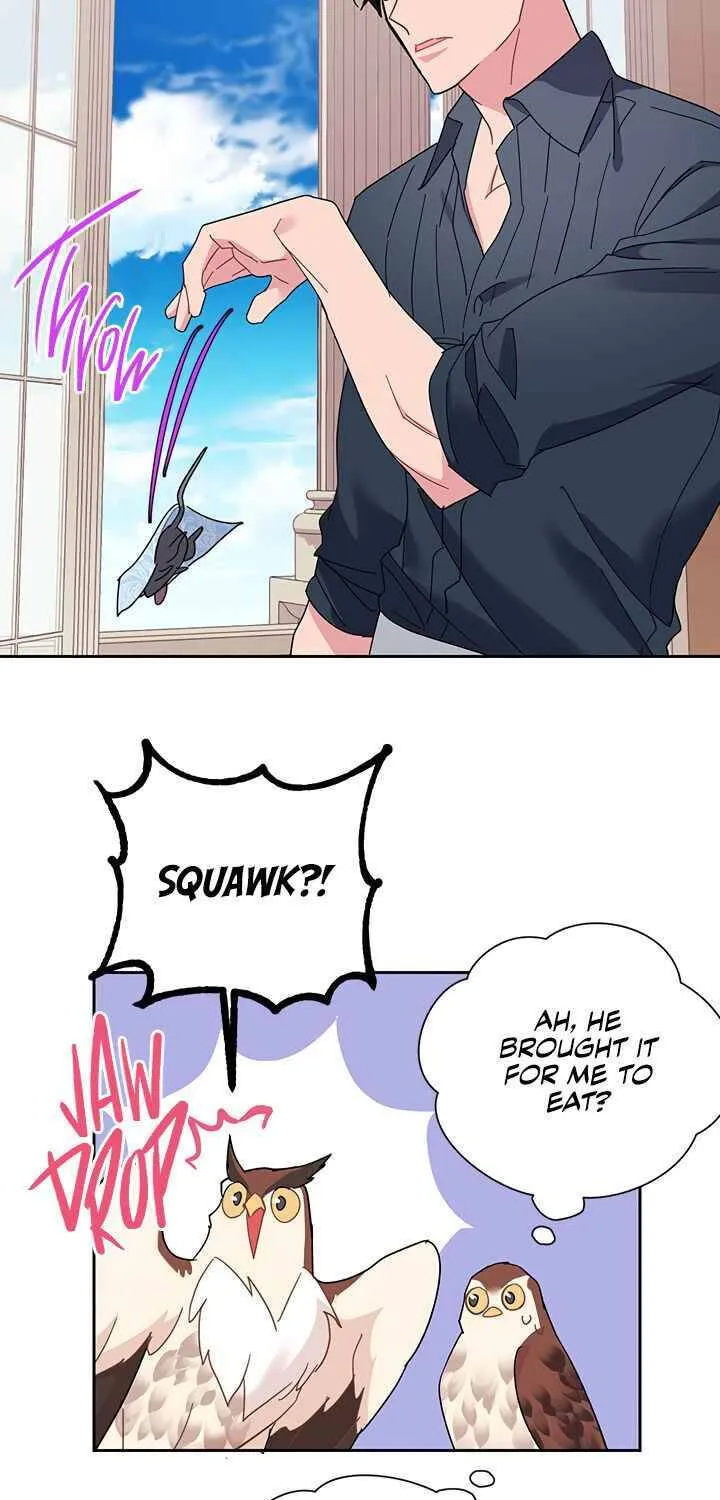 Read Cavier Falcon Princess chapter 24 image 51 on Lezhin