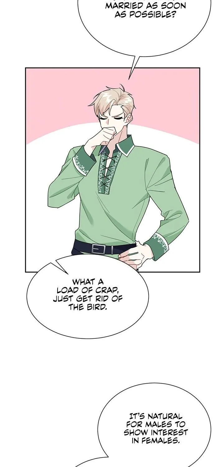 Read Cavier Falcon Princess chapter 25 image 1 on Lezhin