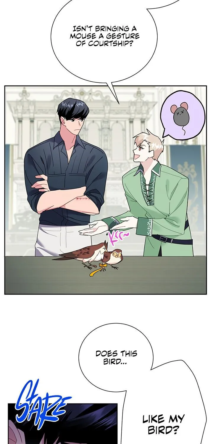 Read Cavier Falcon Princess chapter 25 image 2 on Lezhin