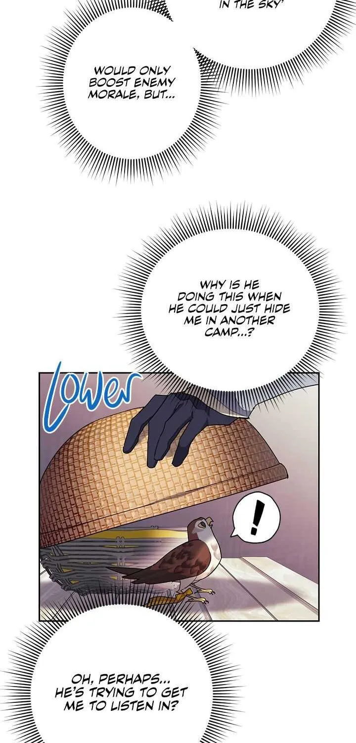 Read Cavier Falcon Princess chapter 25 image 26 on Lezhin