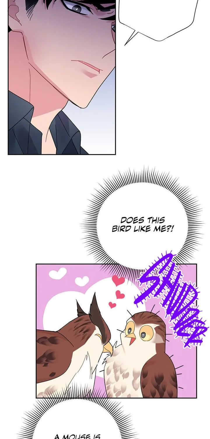 Read Cavier Falcon Princess chapter 25 image 3 on Lezhin