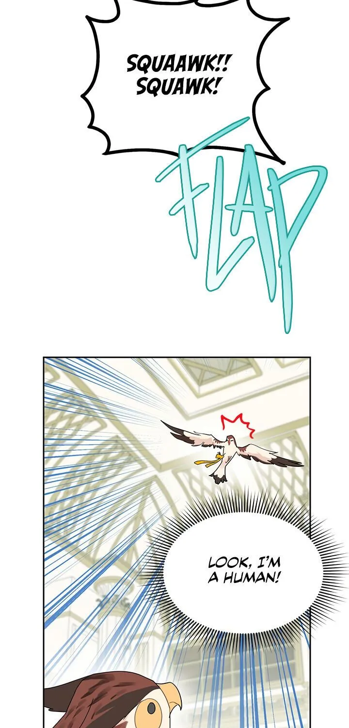 Read Cavier Falcon Princess chapter 25 image 5 on Lezhin