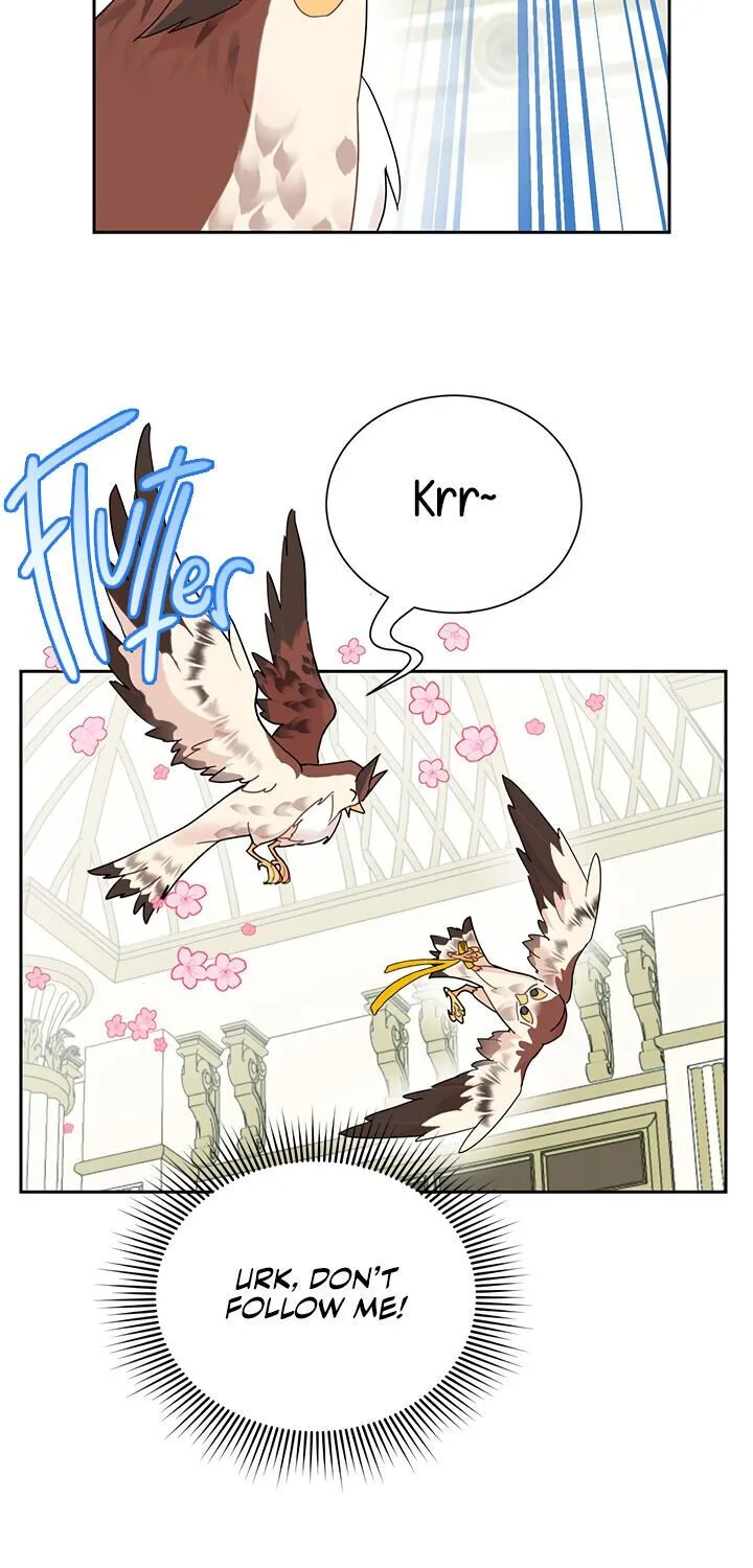 Read Cavier Falcon Princess chapter 25 image 6 on Lezhin