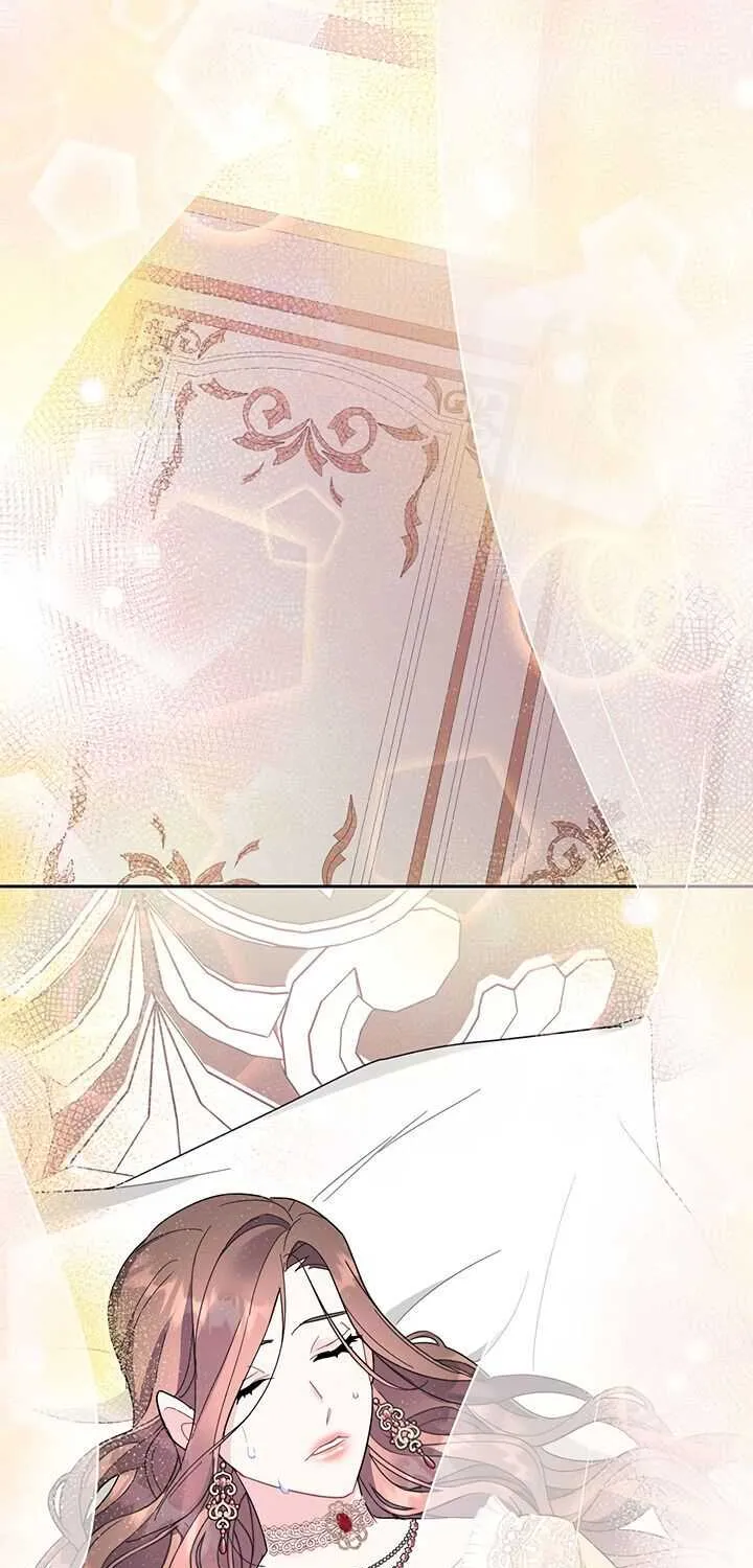 Read Cavier Falcon Princess chapter 25 image 69 on Lezhin