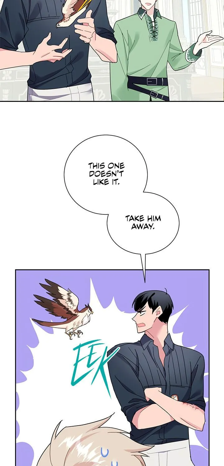 Read Cavier Falcon Princess chapter 25 image 8 on Lezhin
