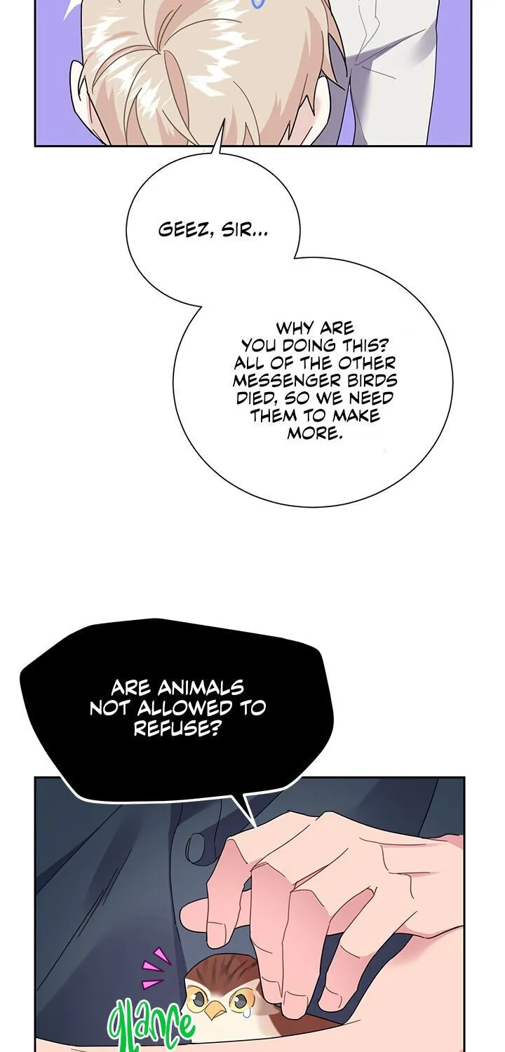 Read Cavier Falcon Princess chapter 25 image 9 on Lezhin