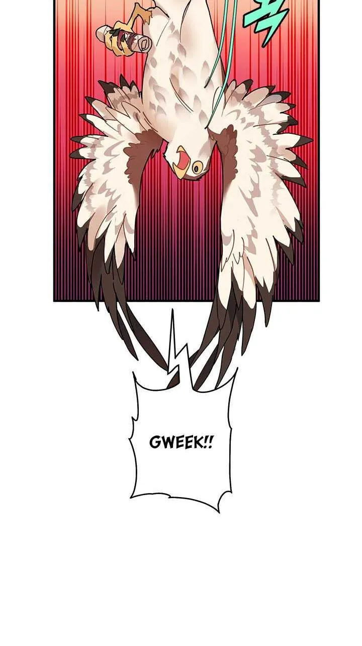 Read Cavier Falcon Princess chapter 3 image 12 on Lezhin