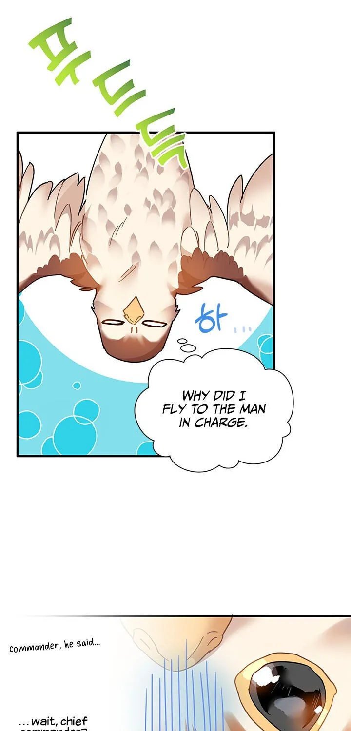 Read Cavier Falcon Princess chapter 3 image 23 on Lezhin