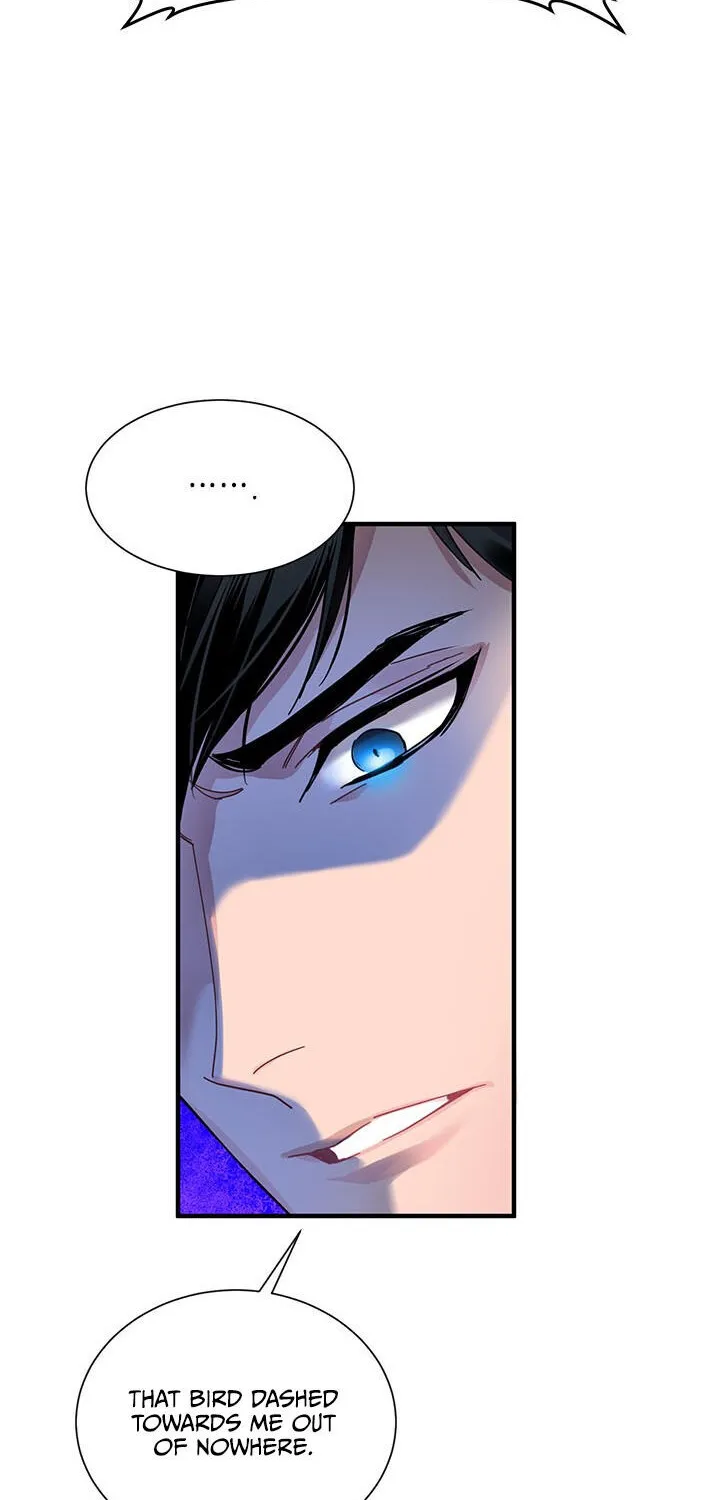 Read Cavier Falcon Princess chapter 3 image 38 on Lezhin