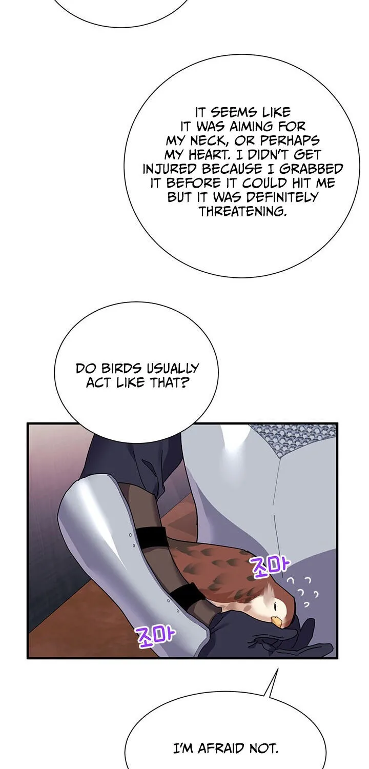Read Cavier Falcon Princess chapter 3 image 39 on Lezhin