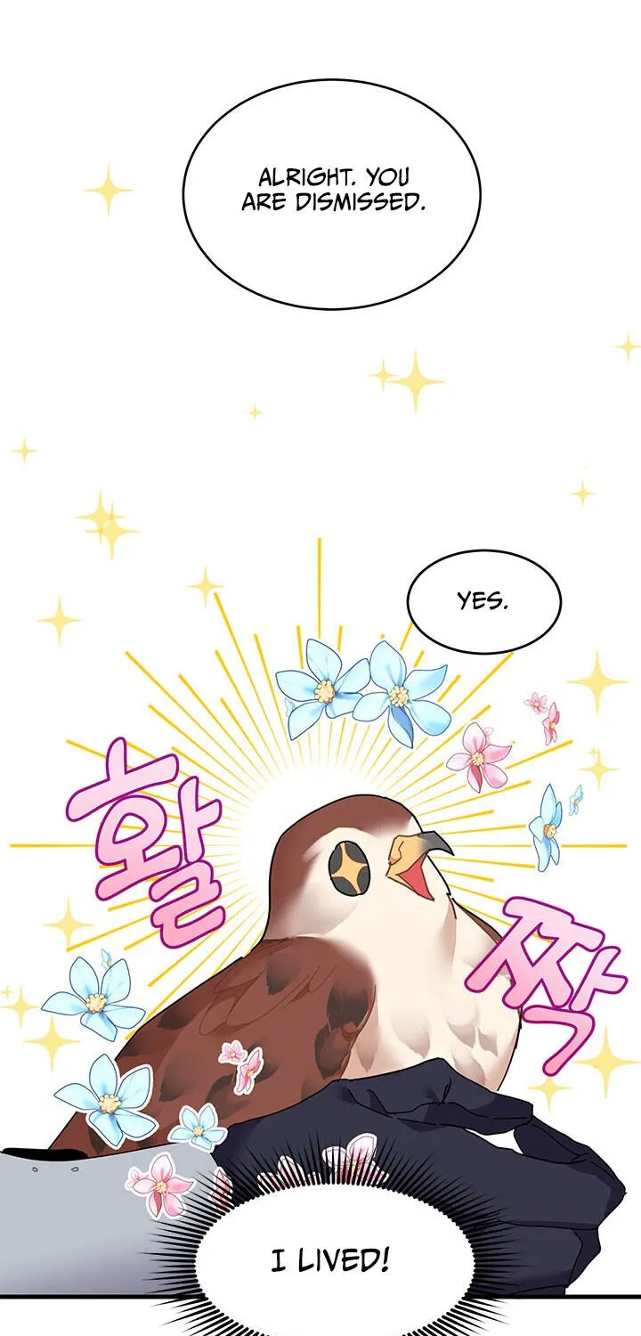 Read Cavier Falcon Princess chapter 3 image 48 on Lezhin