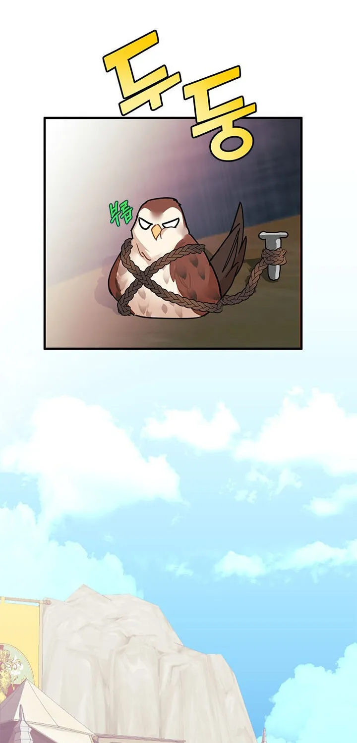 Read Cavier Falcon Princess chapter 3 image 57 on Lezhin