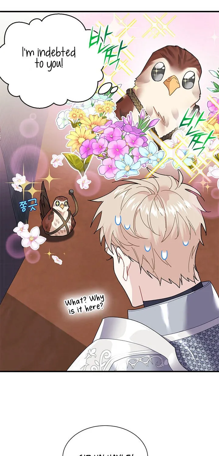 Read Cavier Falcon Princess chapter 3 image 61 on Lezhin