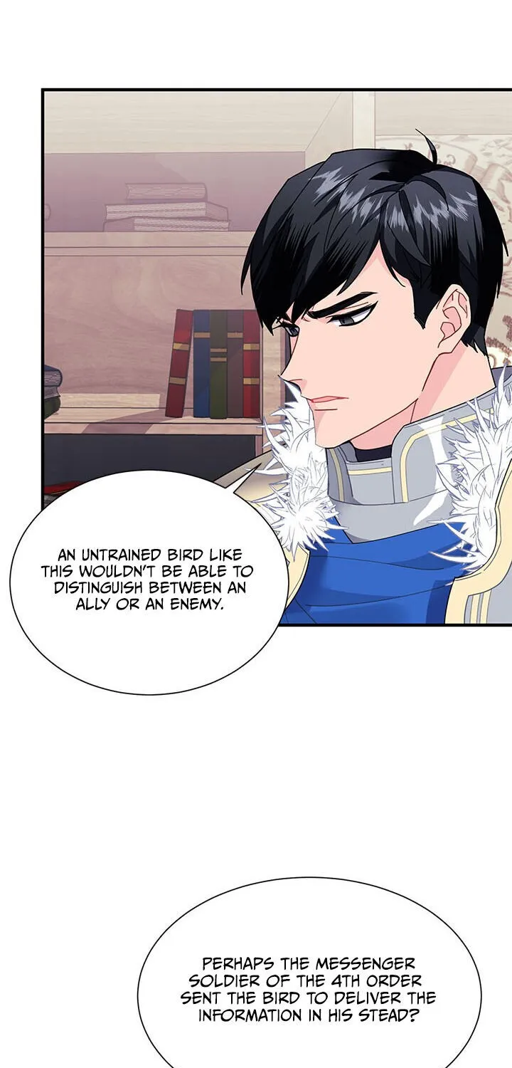 Read Cavier Falcon Princess chapter 3 image 65 on Lezhin