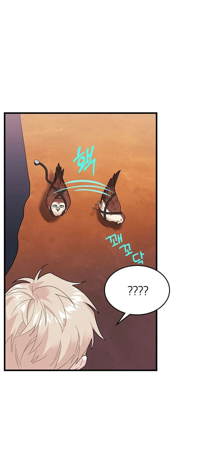Read Cavier Falcon Princess chapter 3 image 77 on Lezhin