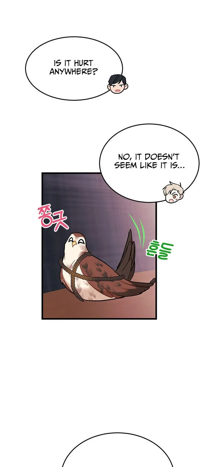Read Cavier Falcon Princess chapter 3 image 83 on Lezhin