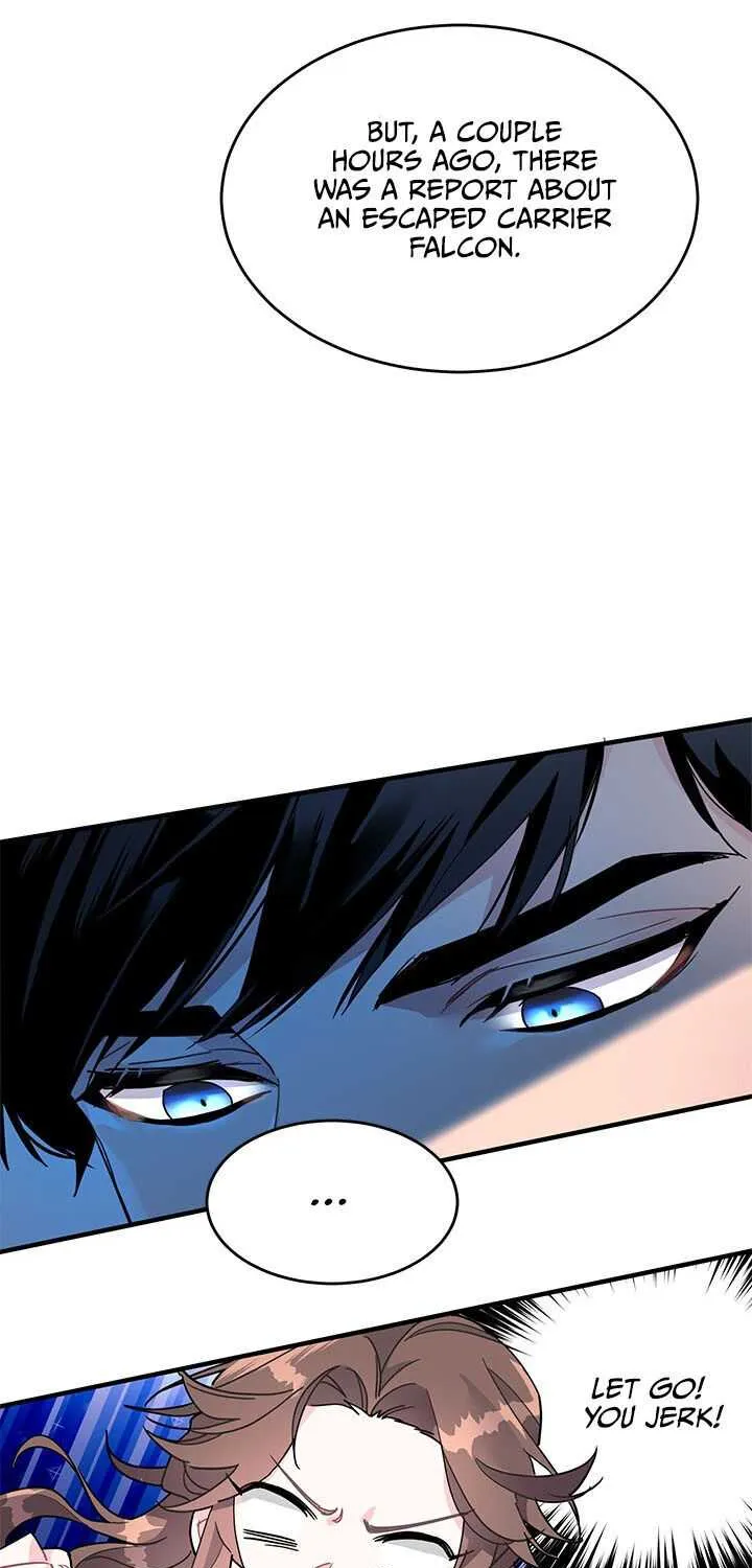 Read Cavier Falcon Princess chapter 3 image 9 on Lezhin