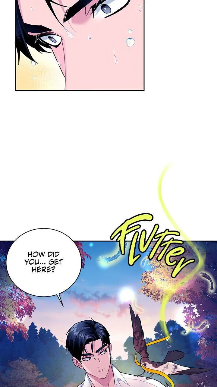 Read Cavier Falcon Princess chapter 30 image 11 on Lezhin