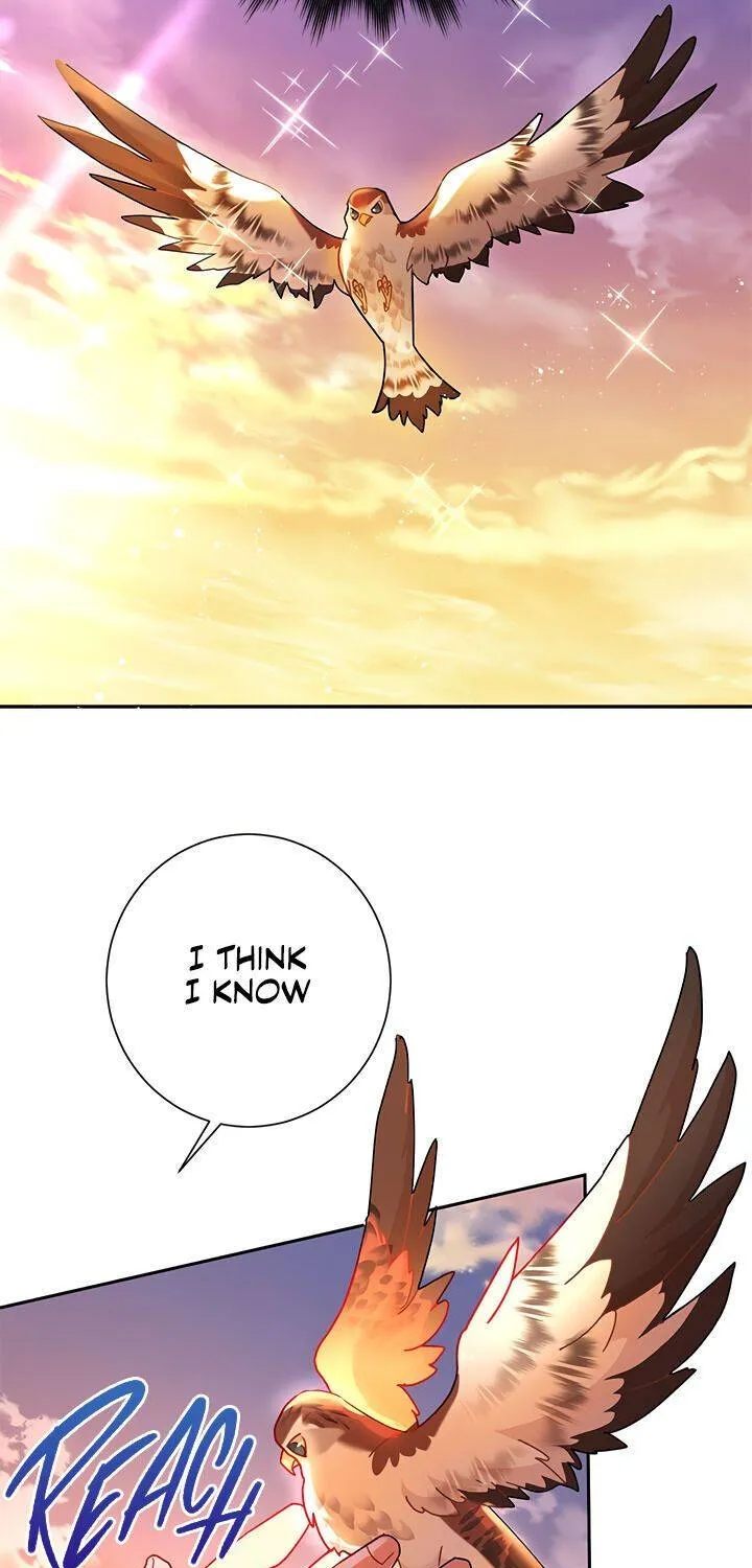 Read Cavier Falcon Princess chapter 30 image 31 on Lezhin