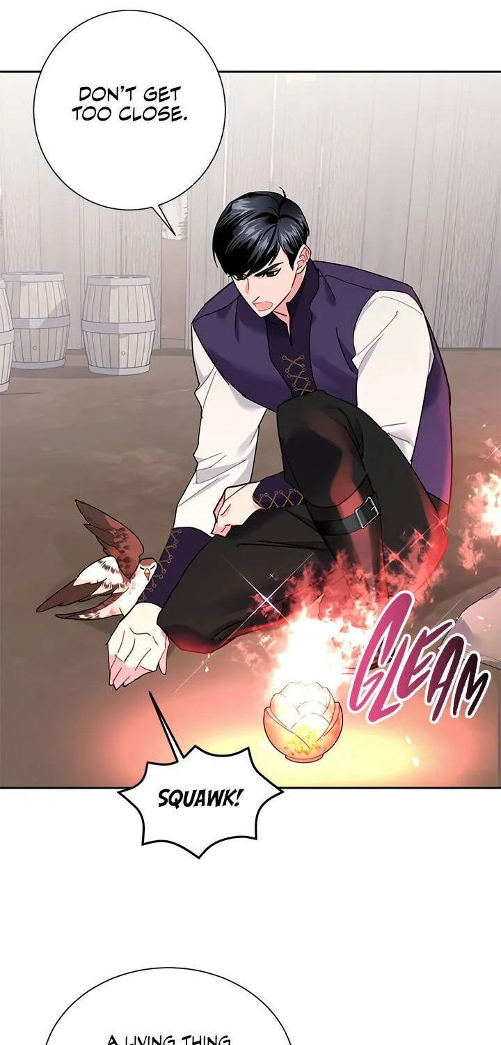 Read Cavier Falcon Princess chapter 31 image 23 on Lezhin
