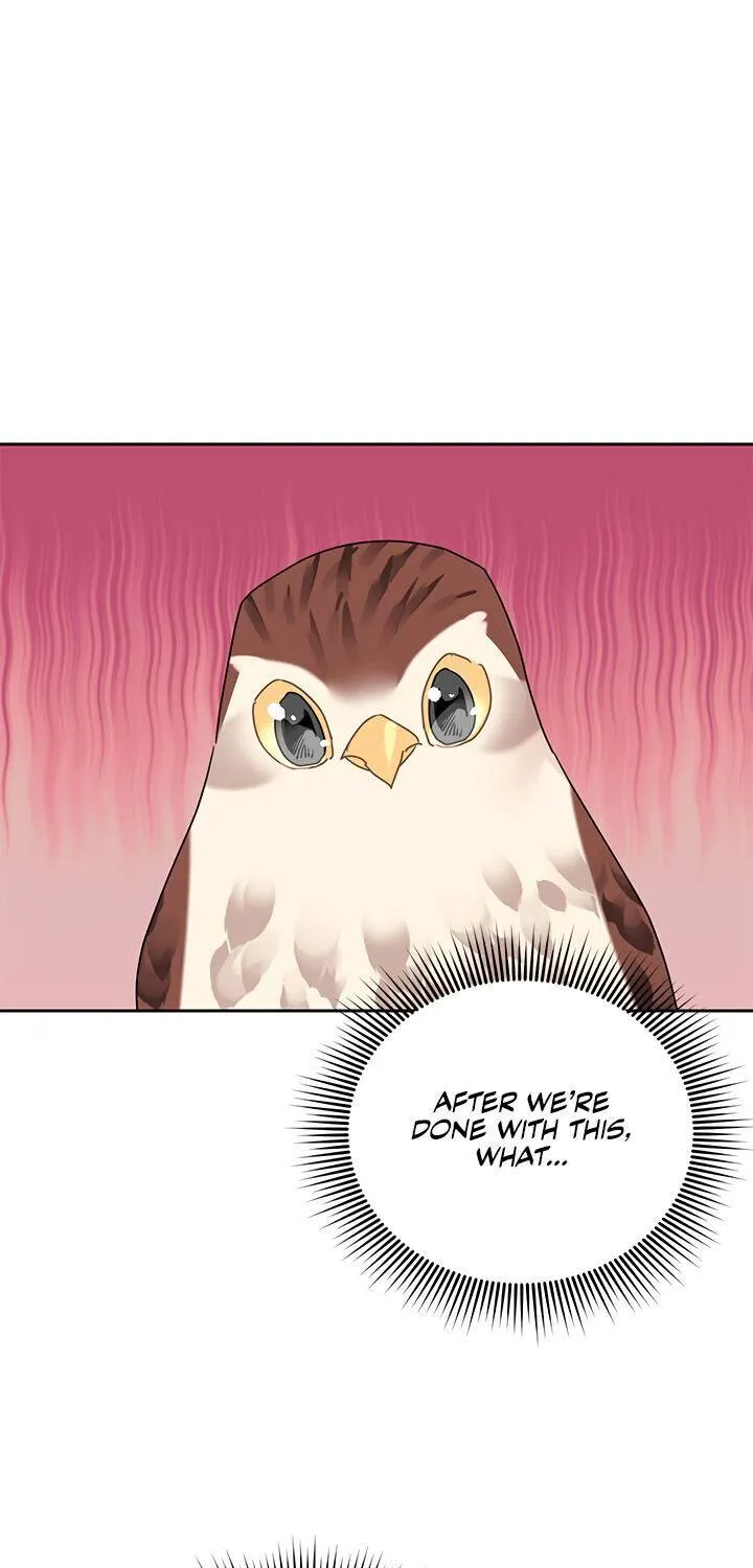 Read Cavier Falcon Princess chapter 31 image 65 on Lezhin