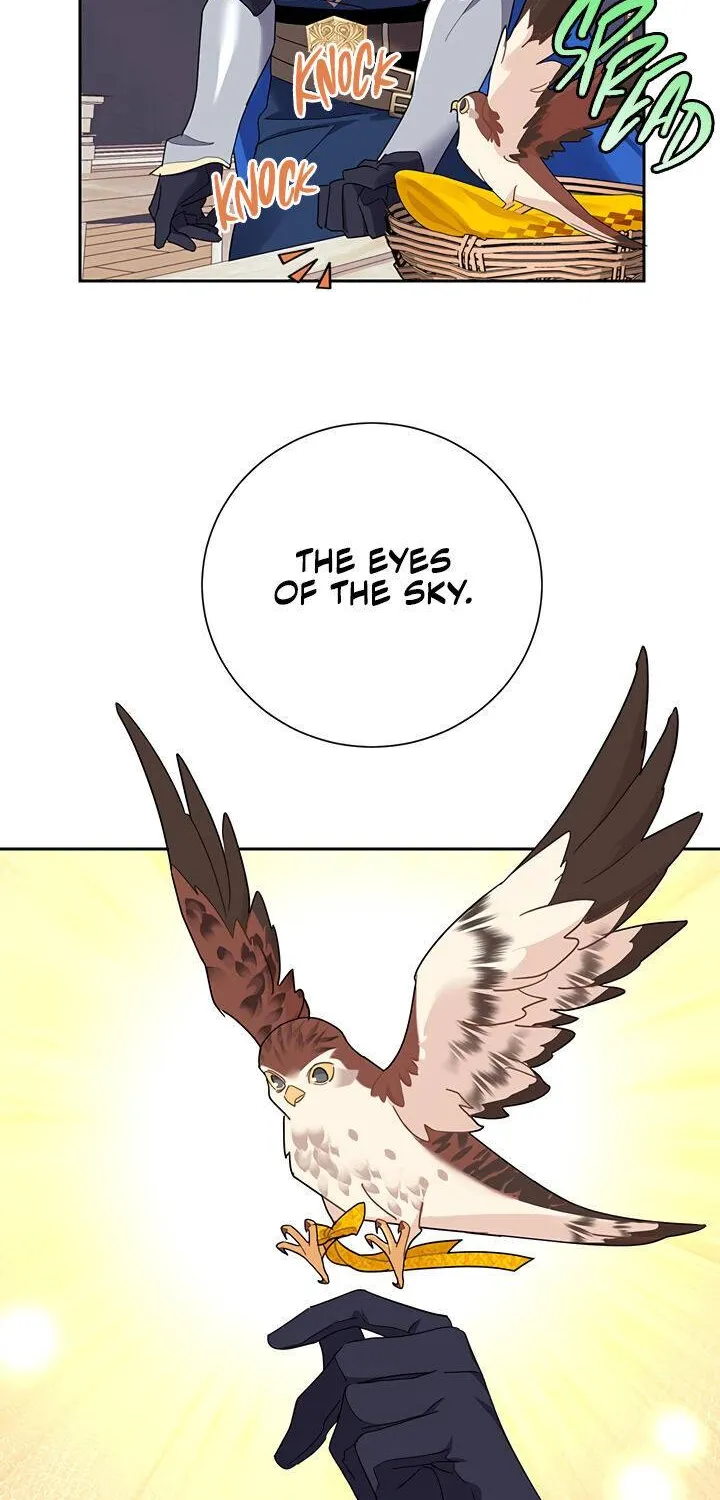 Read Cavier Falcon Princess chapter 31 image 8 on Lezhin