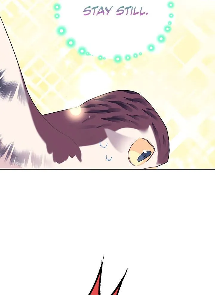 Read Cavier Falcon Princess chapter 32 image 50 on Lezhin