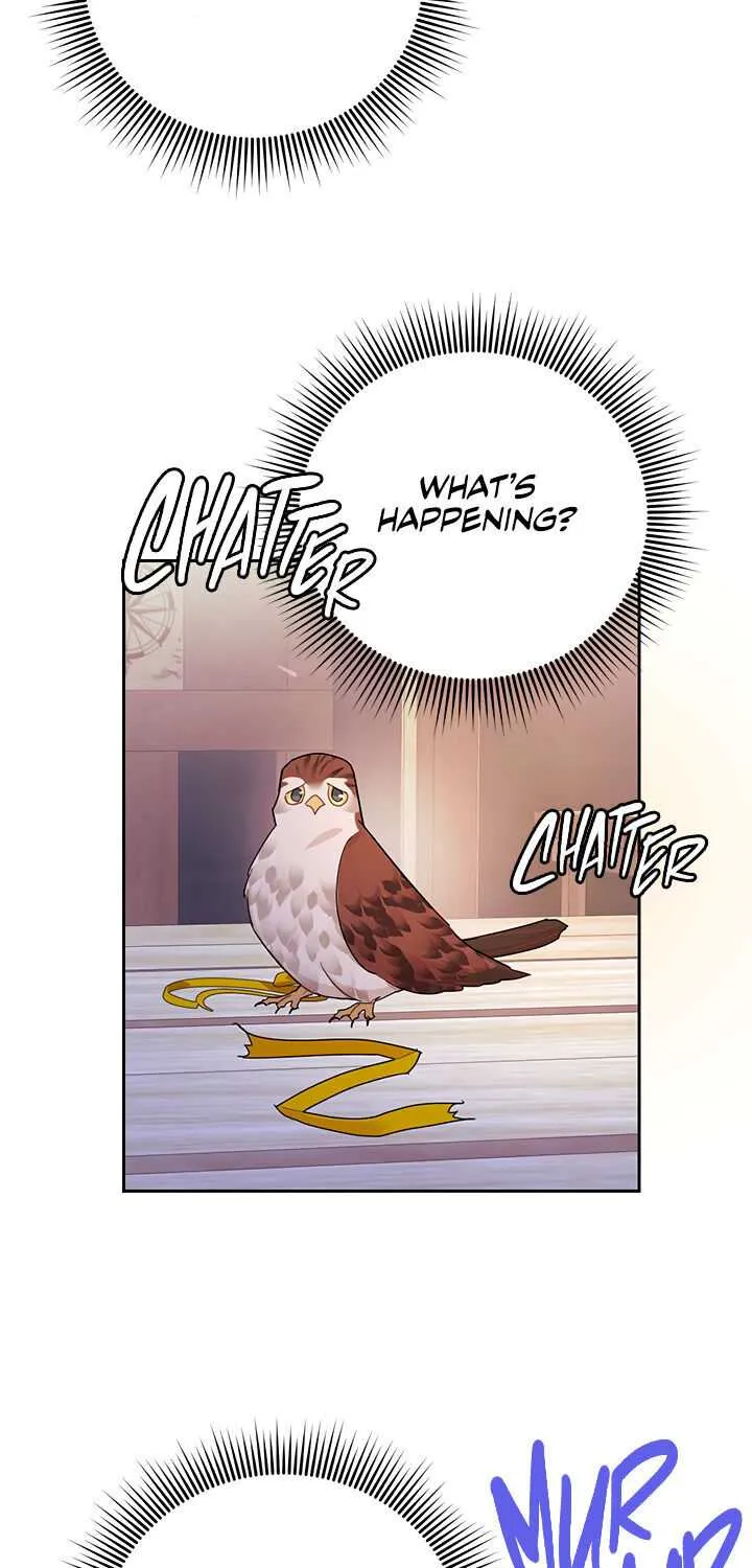 Read Cavier Falcon Princess chapter 33 image 39 on Lezhin