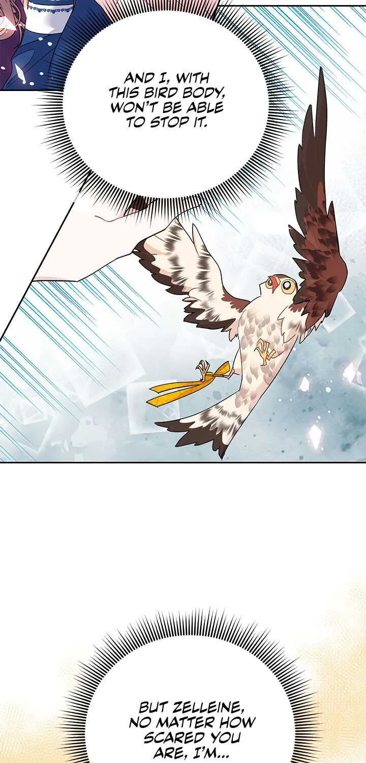 Read Cavier Falcon Princess chapter 33 image 57 on Lezhin