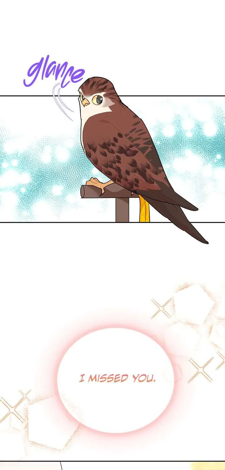 Read Cavier Falcon Princess chapter 33 image 59 on Lezhin