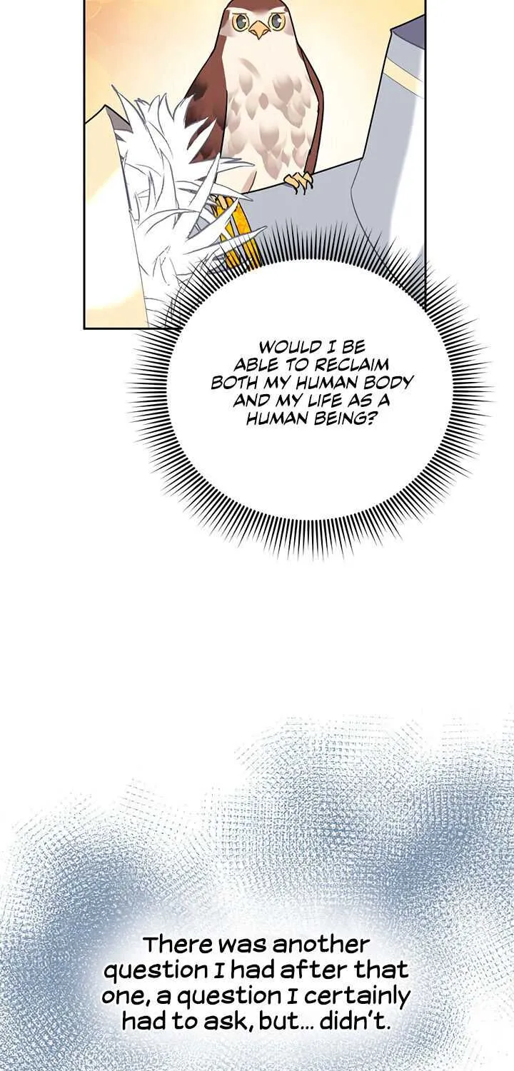 Read Cavier Falcon Princess chapter 34 image 56 on Lezhin