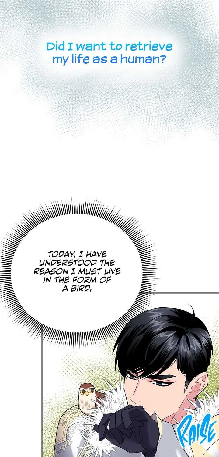 Read Cavier Falcon Princess chapter 34 image 58 on Lezhin
