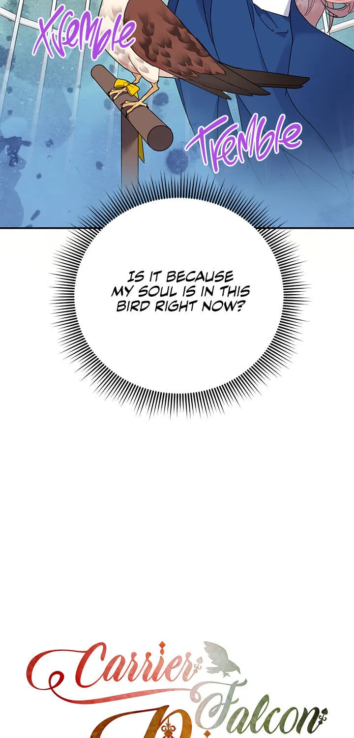 Read Cavier Falcon Princess chapter 35 image 33 on Lezhin