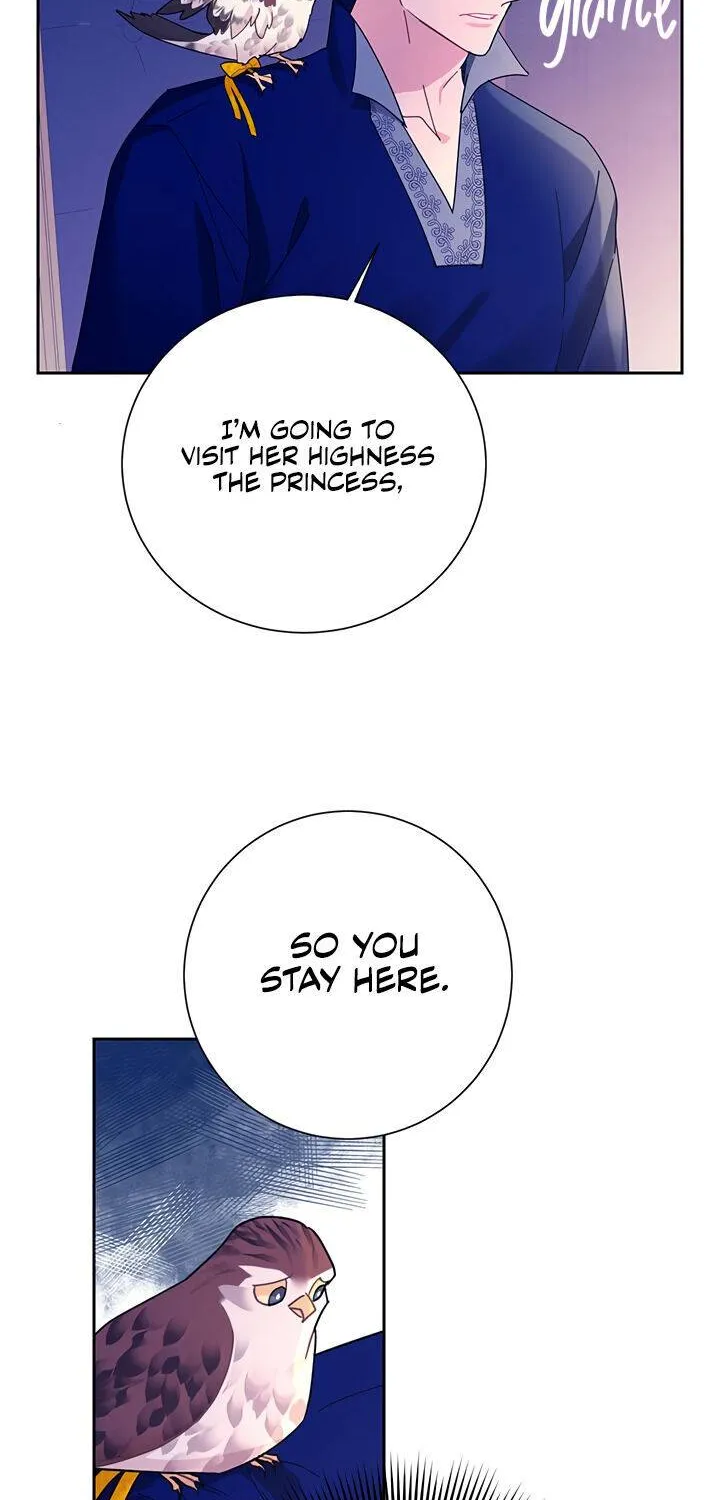 Read Cavier Falcon Princess chapter 36 image 32 on Lezhin