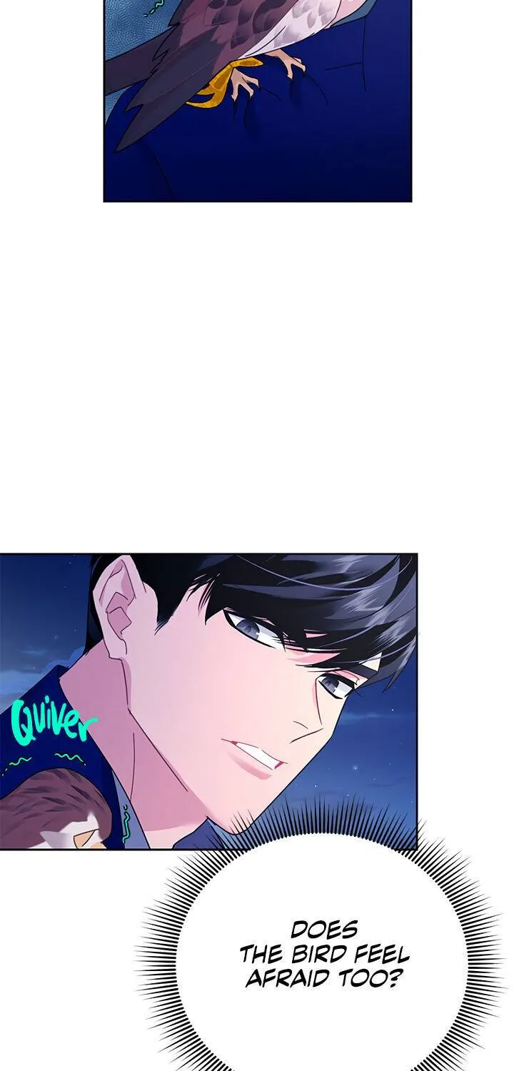 Read Cavier Falcon Princess chapter 36 image 42 on Lezhin