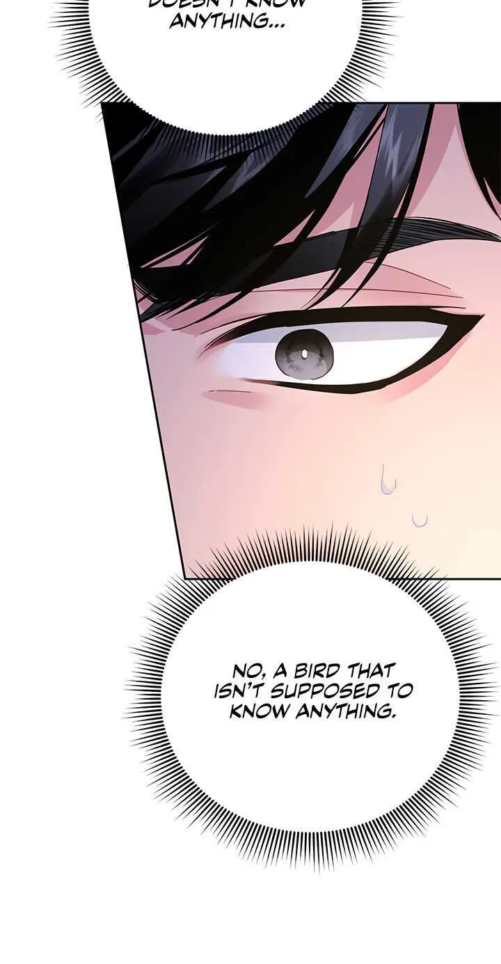 Read Cavier Falcon Princess chapter 37 image 10 on Lezhin