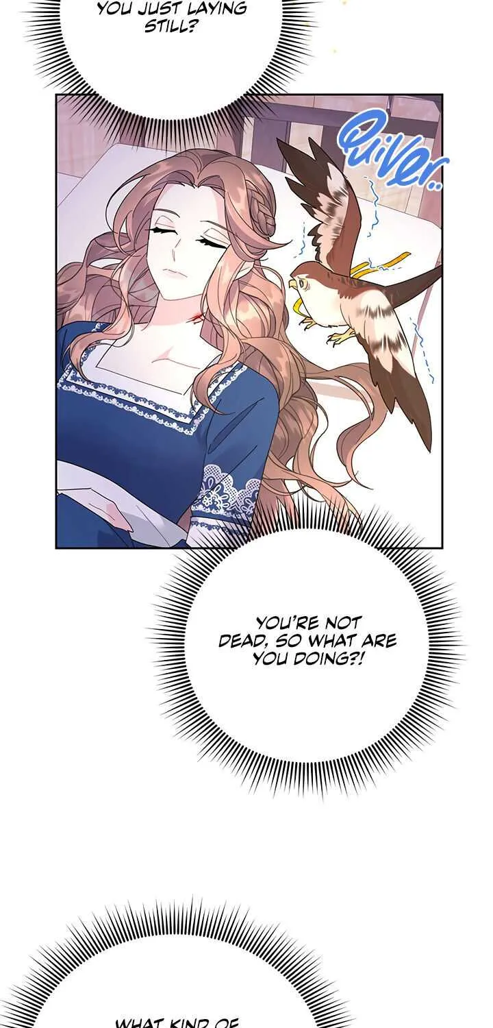 Read Cavier Falcon Princess chapter 37 image 2 on Lezhin
