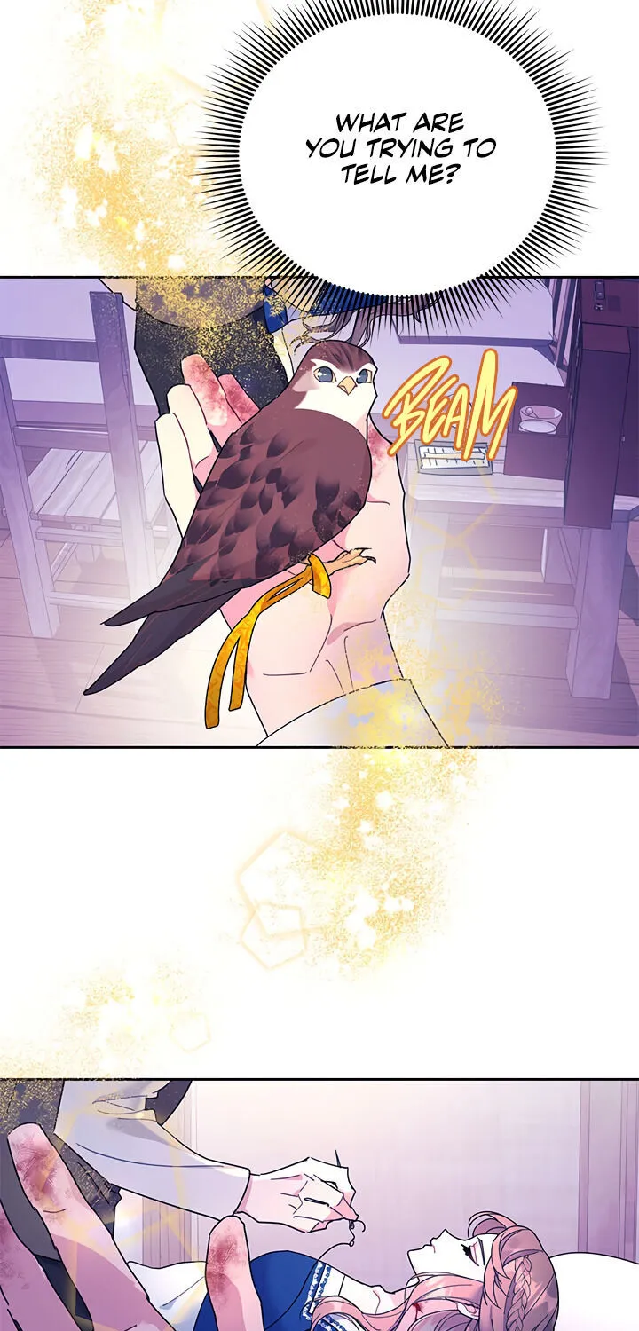 Read Cavier Falcon Princess chapter 37 image 40 on Lezhin