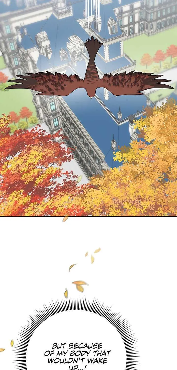 Read Cavier Falcon Princess chapter 37 image 58 on Lezhin