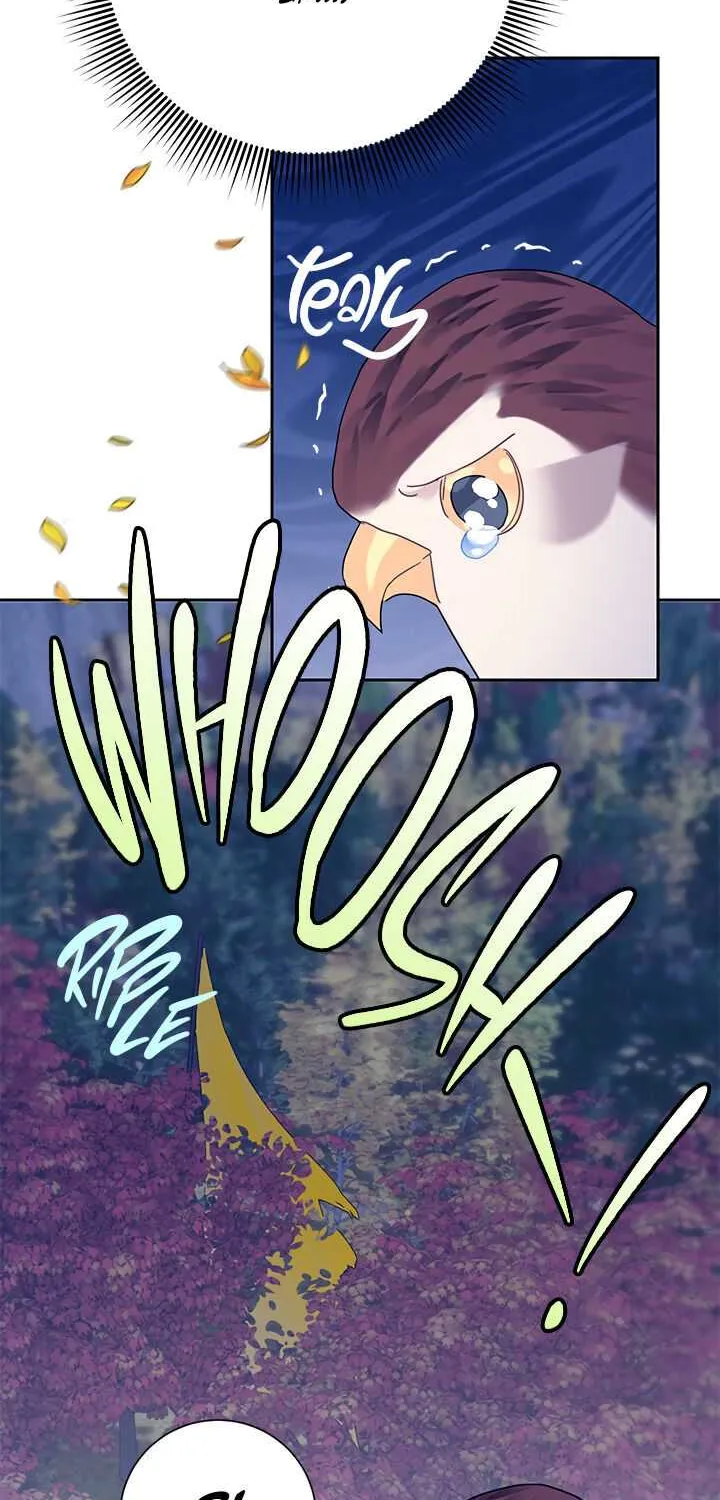 Read Cavier Falcon Princess chapter 37 image 59 on Lezhin