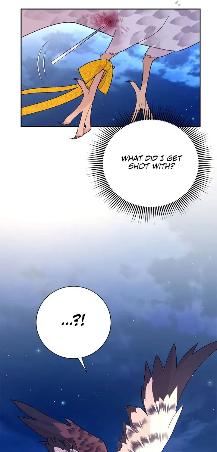 Read Cavier Falcon Princess chapter 38 image 1 on Lezhin
