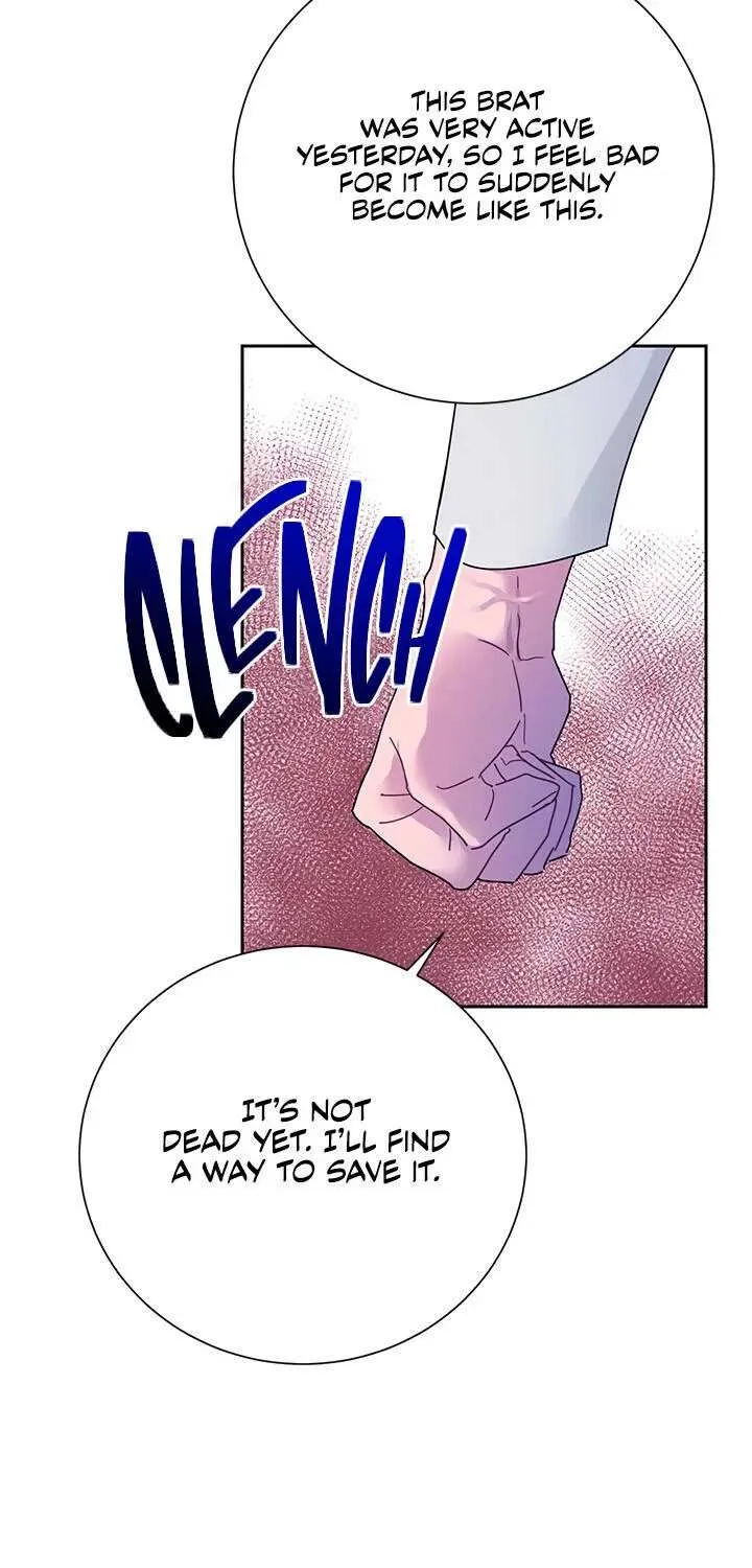 Read Cavier Falcon Princess chapter 38 image 48 on Lezhin