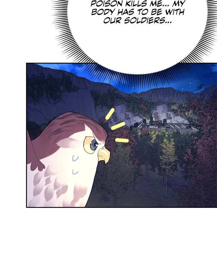 Read Cavier Falcon Princess chapter 38 image 5 on Lezhin