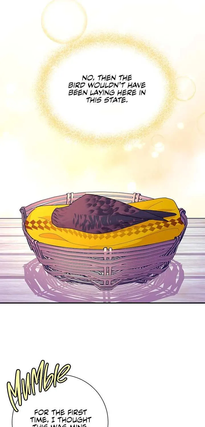 Read Cavier Falcon Princess chapter 38 image 56 on Lezhin
